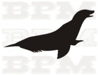 /album/ostatne-zvierata/ostatne-zvierata-5-jpg/